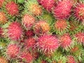 Sweet fruits rambutan