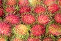 Sweet fruits rambutan in the market