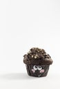 Sweet funny chocolate muffin