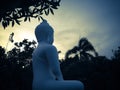 Sweet Garden With White Buddha Meditating Statue In The Evening Sunshine At Buddhist Temple