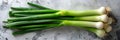 Sweet Garleek is a garlic and leek hybrid that combines the sweetness of onions with the rich flavor of garlic. On a Royalty Free Stock Photo