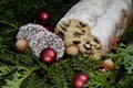 Sweet German bread with raisins and icing sugar and Christmas decoration