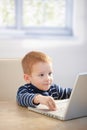 Sweet gingerish kid playing video game on laptop