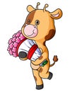 The sweet giraffe is walking and holding a bucket of flowers