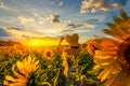 Sweet girl use phone take a photo between travel and walking on a field of sunflowers