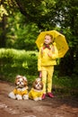 Sweet girl in the yellow jacket under an umbrella with dogs walking in the park Royalty Free Stock Photo