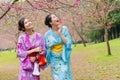 Sweet girls looking at cherry blossom flower trees Royalty Free Stock Photo