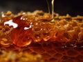 Sweet gold honeycomb and honey macro closeup. Healthy organic dessert for World Bee Day, Honey Bee Day. Generative AI Royalty Free Stock Photo