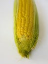 .Sweet golden corn. Image of a yellow grain of sweet corn on the cob. Dense rows of corn seeds. Royalty Free Stock Photo