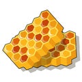 Sweet golden honeycomb with honey isolated on white background. Natural healthy food. Vector cartoon close-up Royalty Free Stock Photo