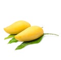Sweet golden mango isolated on white background. Royalty Free Stock Photo