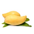 Sweet golden mango isolated on white background. Royalty Free Stock Photo