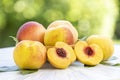 Sweet Golden Peach fruits on Bamboo basket on wooden table in the garden, Fresh Honey Yellow Peach with leaves. Royalty Free Stock Photo