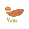 Sweet golden yam kind of potato. Vector illustration isolated on white background. Hand drawn clipart of batat for Royalty Free Stock Photo