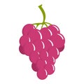 Sweet grape icon, cartoon style