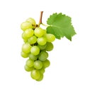 Sweet grapes with leaves Royalty Free Stock Photo