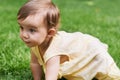 Sweet, grass and girl baby crawling, having fun and playing in backyard, park or garden. Nature, cute and kid, infant or Royalty Free Stock Photo