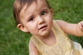 Sweet, grass and portrait of girl baby having fun and playing in backyard, park or garden. Nature, cute and face of kid Royalty Free Stock Photo