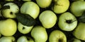 Sweet green apple top view background Royalty Free Stock Photo