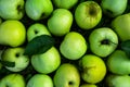 Sweet green apple top view background Royalty Free Stock Photo