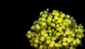 Sweet green grapes on black background Royalty Free Stock Photo