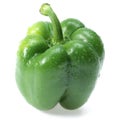 Sweet green pepper