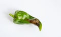 Sweet Green Pepper with Sun Scald Royalty Free Stock Photo