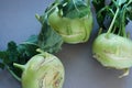 Kohlrabies cabbage turnips raw on neutral background. Royalty Free Stock Photo