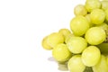 Sweet green seedless grapes isolated on white back Royalty Free Stock Photo