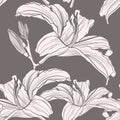 Sweet hand drawn line sketch flowers lily seamless pattern, vector for fashion ,fabric. Royalty Free Stock Photo