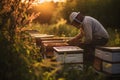 Sweet Harvest: Beekeeper Tending to Hives in Honey Farming. Generative ai