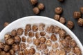 sweet and healthy chocolate balls with cow's milk Royalty Free Stock Photo