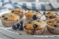 Sweet home made blueberry muffins