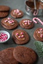 Sweet home made chocolate candy cane christmas cookies Royalty Free Stock Photo