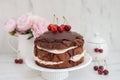 Sweet home made chocolate cherry cake Royalty Free Stock Photo