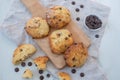 Sweet home made chocolate chip scones Royalty Free Stock Photo