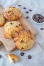 Sweet home made chocolate chip scones Royalty Free Stock Photo