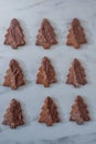Sweet home made chocolate christmas tree cookies Royalty Free Stock Photo