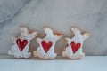 sweet home made easterbunny cookies Royalty Free Stock Photo