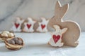 sweet home made easterbunny cookies Royalty Free Stock Photo