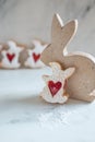 sweet home made easterbunny cookies Royalty Free Stock Photo