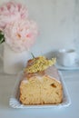 Sweet home made elderflower sponge cake on a table Royalty Free Stock Photo