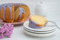 Sweet home made lavender vanilla sponge cake Royalty Free Stock Photo