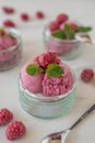 sweet home made raspberry ice cream with fresh mint Royalty Free Stock Photo