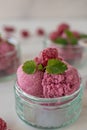 sweet home made raspberry ice cream with fresh mint Royalty Free Stock Photo