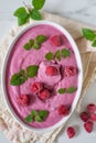 sweet home made raspberry ice cream with fresh mint Royalty Free Stock Photo