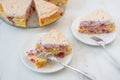 Sweet home made raspberry merigue pie Royalty Free Stock Photo