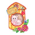 Sweet home piggy illustration isolated on white background