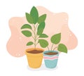 Sweet home potted plants decoration interior Royalty Free Stock Photo