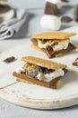 Sweet Homemade Chocolate Smores Dessert